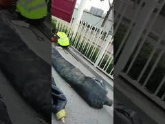 Plugas de tubería para trabajos de alcantarillado